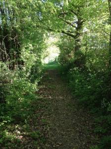 10838224_937545012946114_1166807359245469709_o